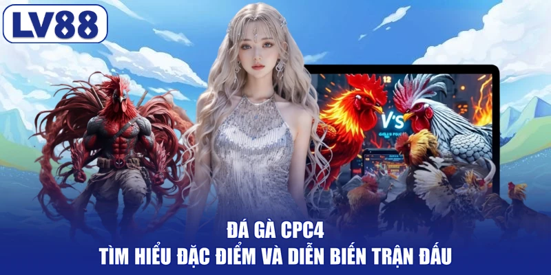 Đá Gà CPC4 - Tìm Hiểu Đặc Điểm Và Diễn Biến Trận Đấu