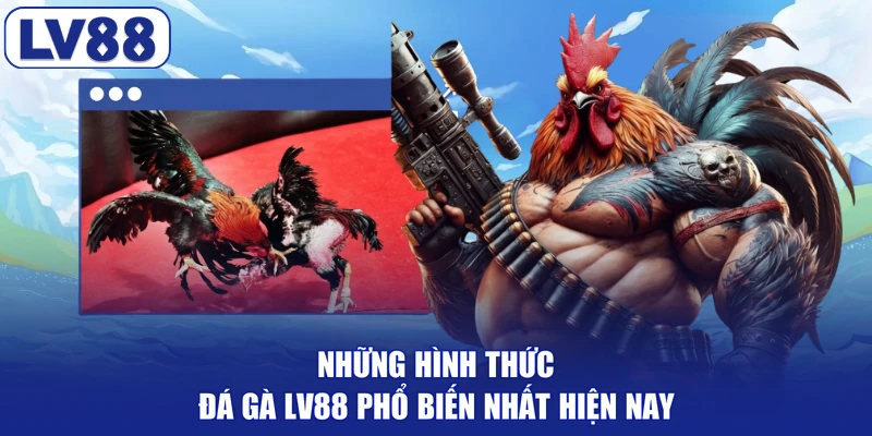Những hình thức đá gà LV88 phổ biến nhất hiện nay