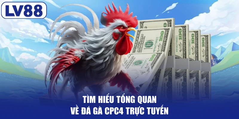Tìm hiểu tổng quan về đá gà CPC4 trực tuyến