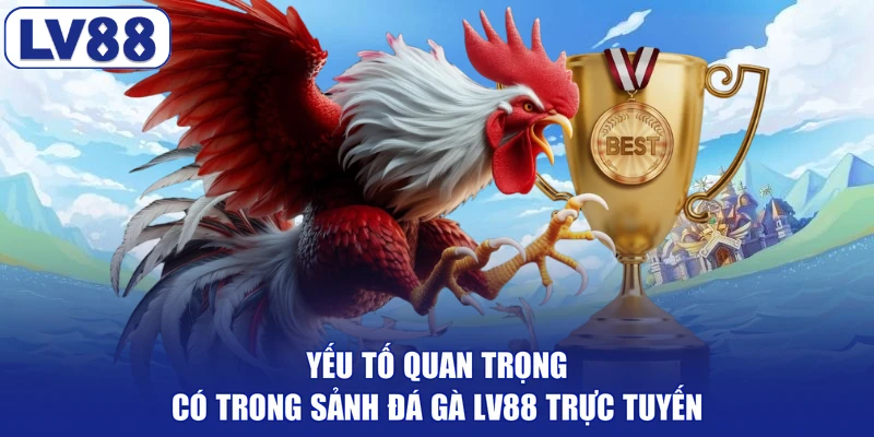 Yếu tố quan trọng có trong sảnh đá gà LV88 trực tuyến